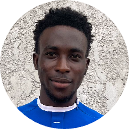Adewusi J.